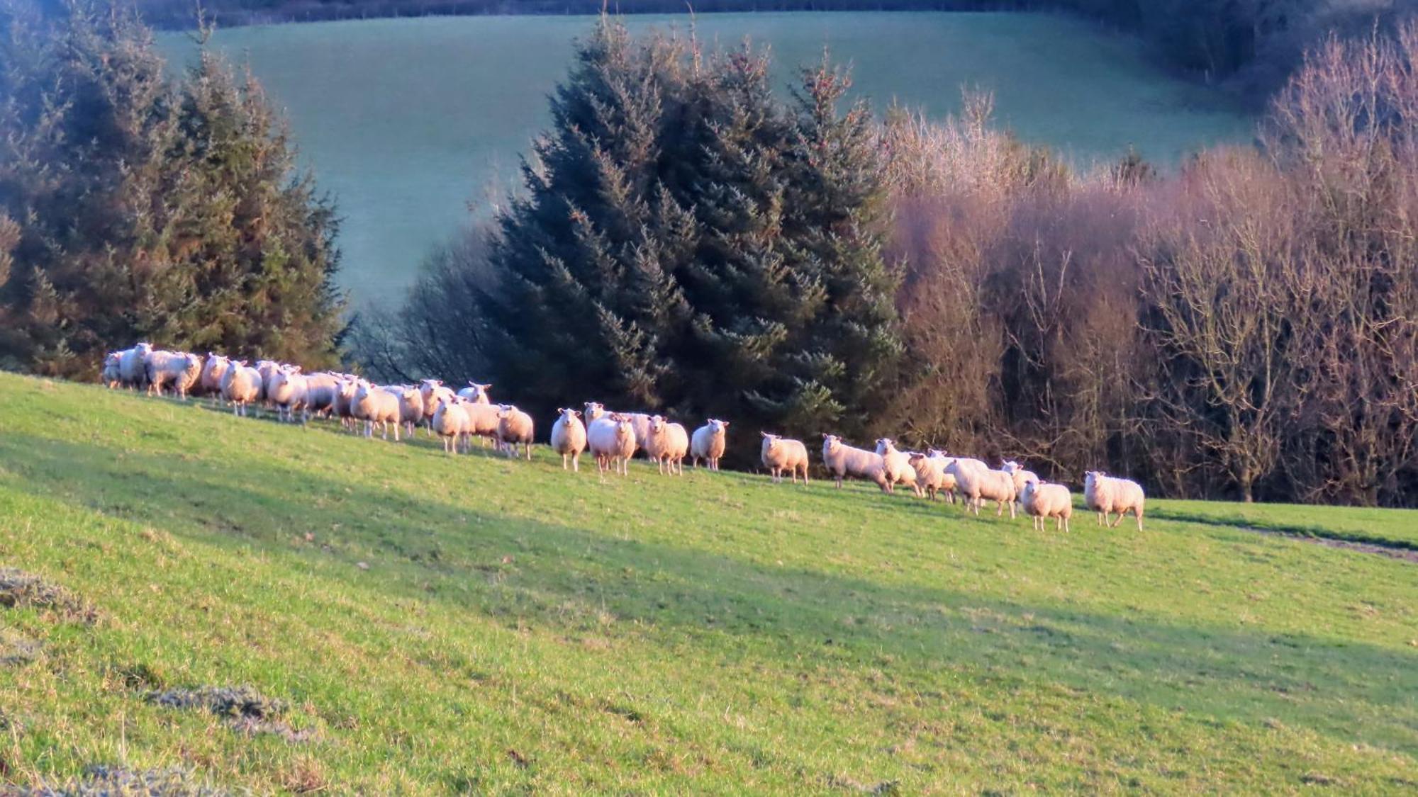 Vale Farm Cottages ブレコン エクステリア 写真